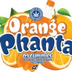 ORANGE PHANTA FRONT NO SYMBOL