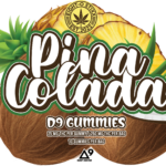 PINA COLADA FRONT NO SYMBOL